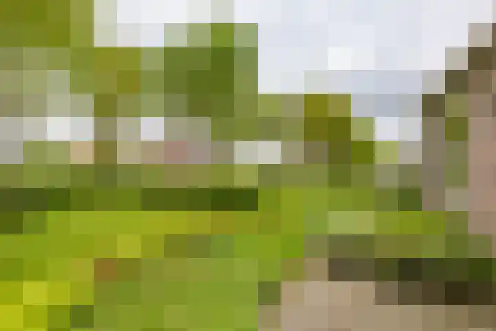 Hoofdweg 6 A Scharmer thumbnail 8