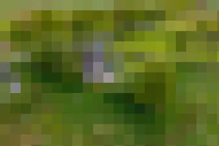 Hoofdweg 6 A Scharmer thumbnail 9