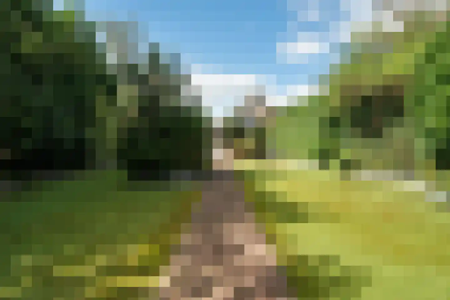 Hoofdweg 6 De Krim thumbnail 50