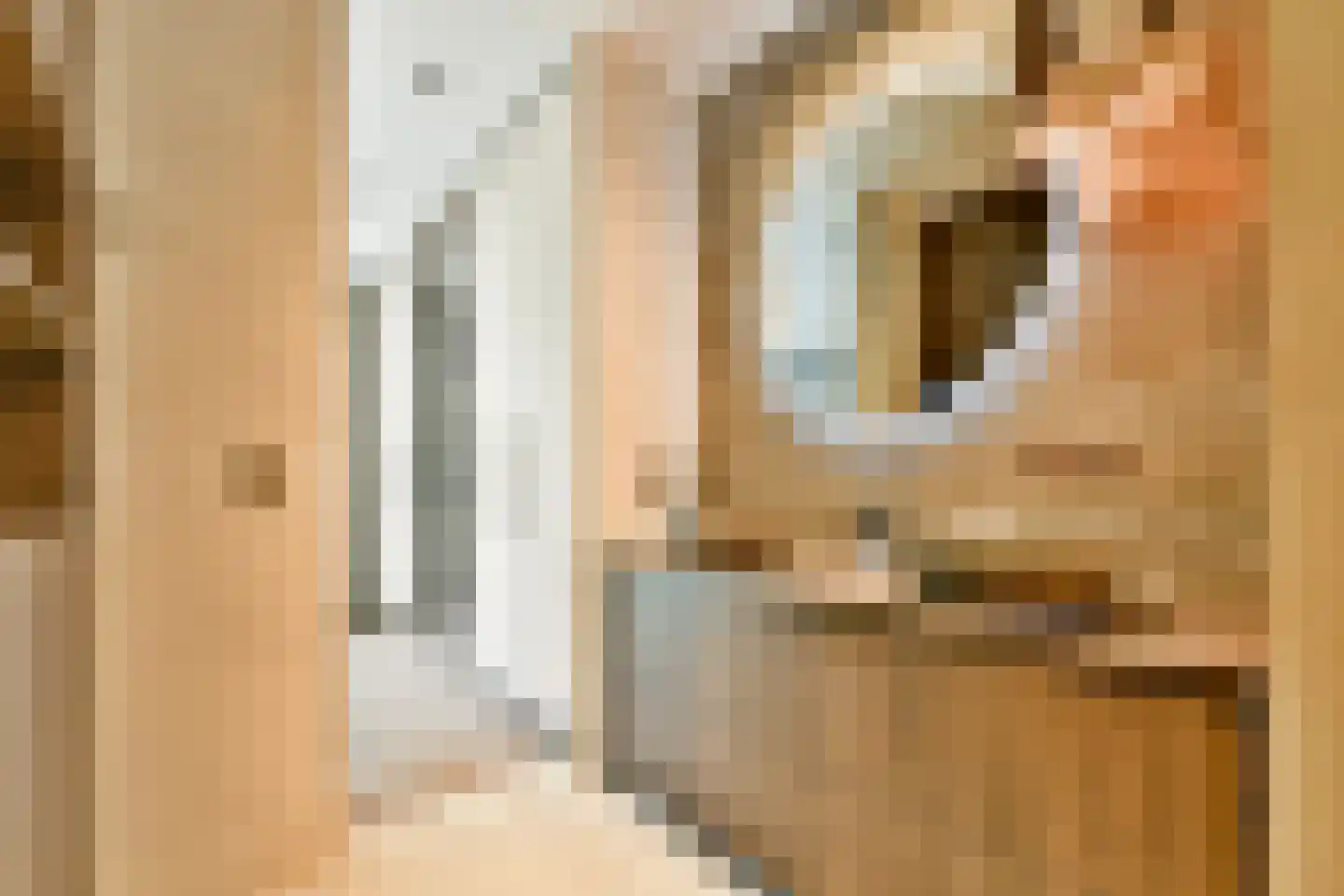Hoofdweg 6 H Amsterdam thumbnail 24