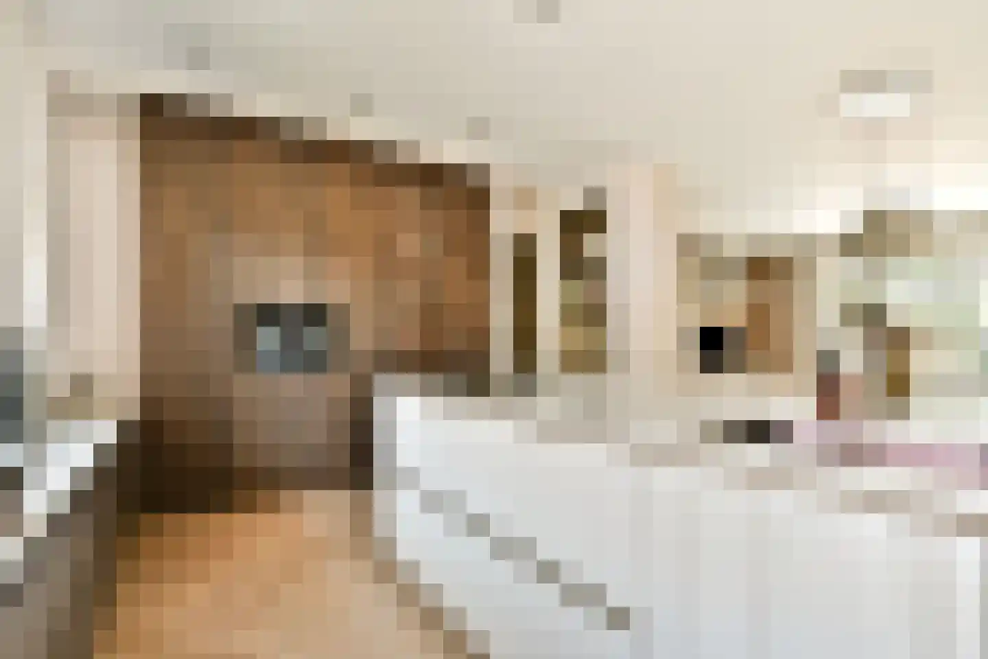 Hoofdweg 6 H Amsterdam thumbnail 9