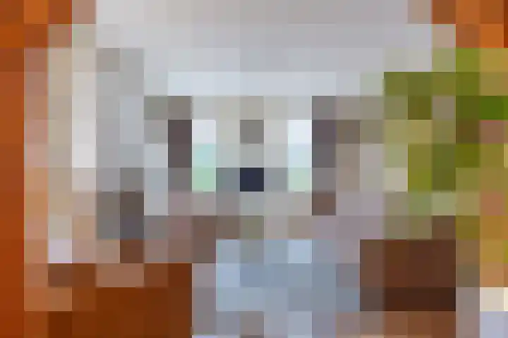 Hoofdweg 6 Siddeburen thumbnail 19
