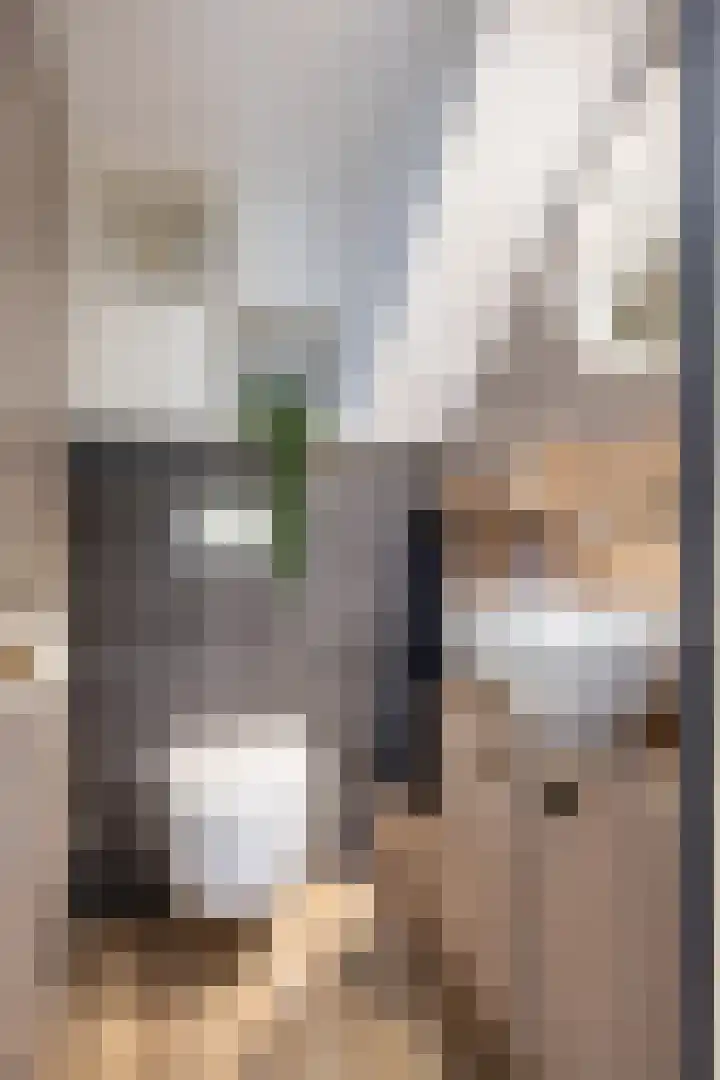 Hoofdweg 6 Siddeburen thumbnail 39
