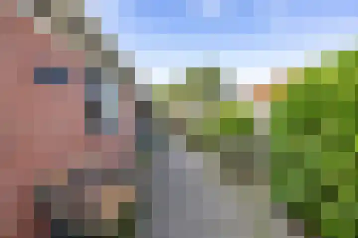 Hoofdweg 6 Siddeburen thumbnail 49