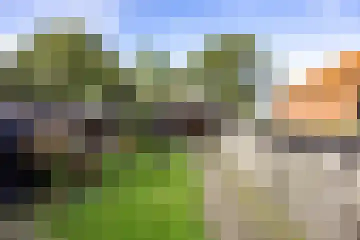 Hoofdweg 6 Siddeburen thumbnail 52