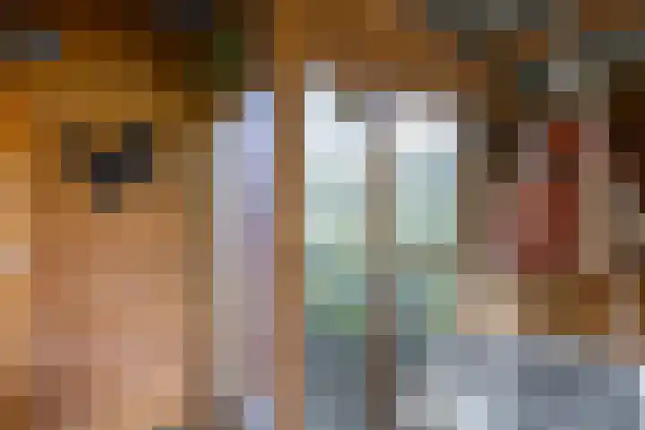 Hoofdweg 6 Siddeburen thumbnail 56