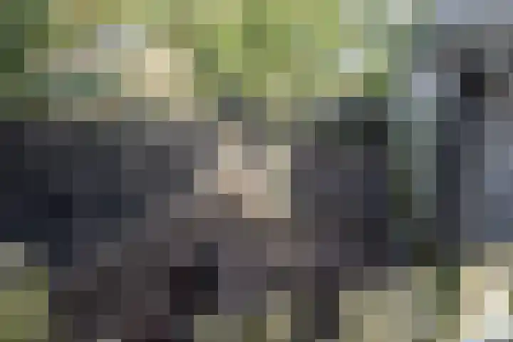 Hoofdweg 6 Siddeburen thumbnail 58