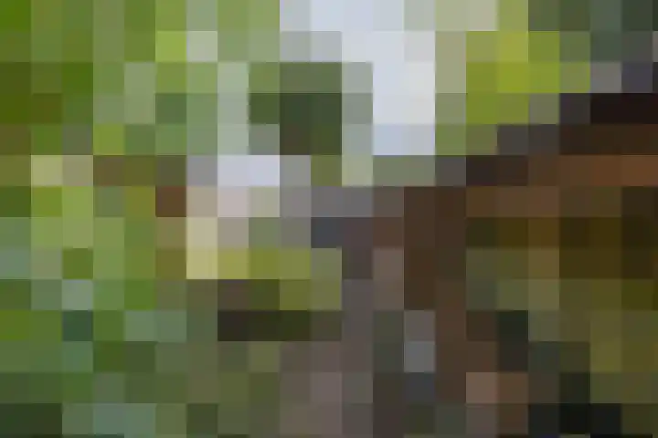 Hoofdweg 6 Siddeburen thumbnail 59