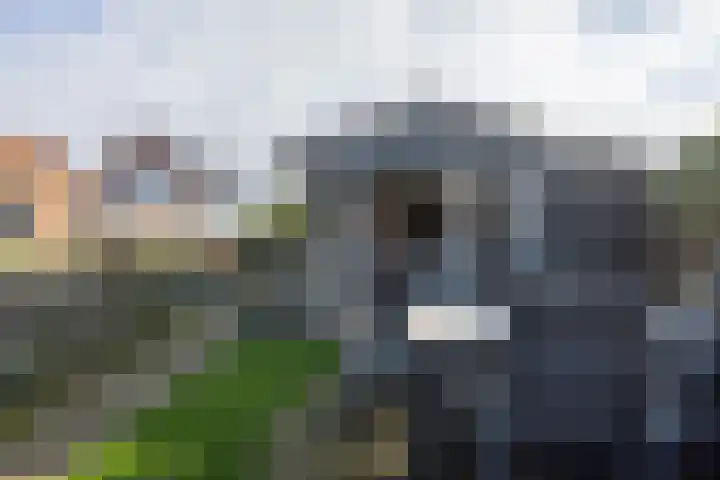 Hoofdweg 6 Siddeburen thumbnail 63