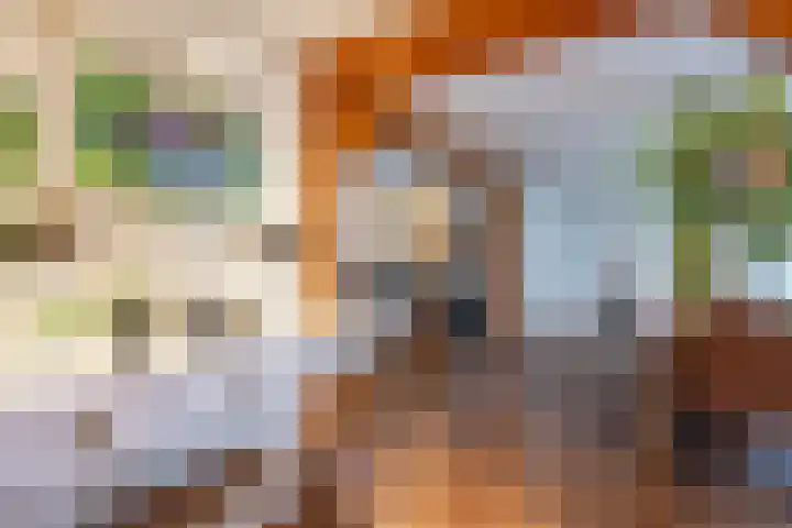 Hoofdweg 6 Siddeburen thumbnail 7