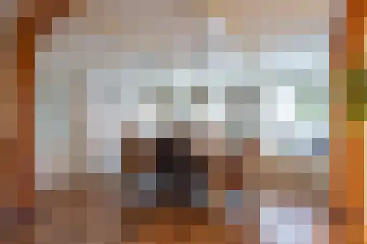 Hoofdweg 6 Siddeburen thumbnail 9