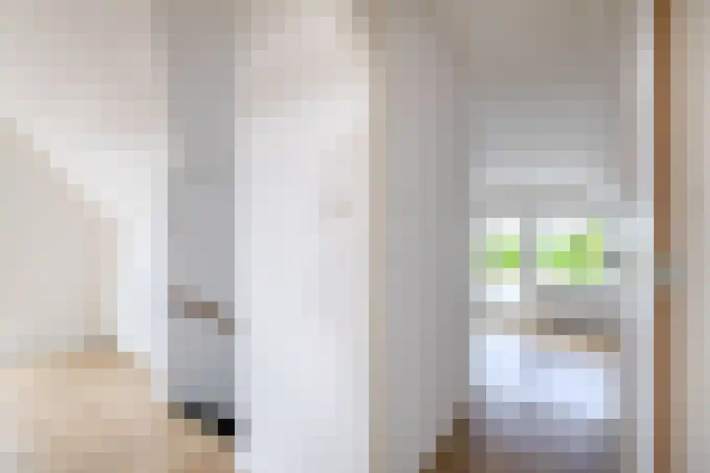 Hoofdweg 60 Finsterwolde thumbnail 33