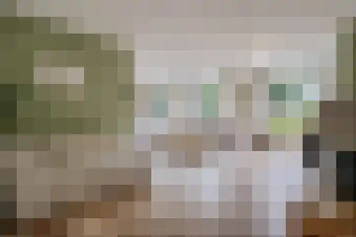 Hoofdweg 60 Smilde thumbnail 10