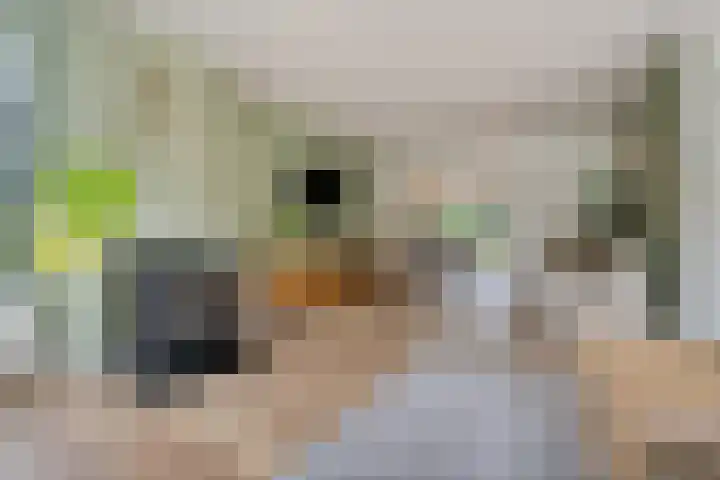 Hoofdweg 60 Smilde thumbnail 11