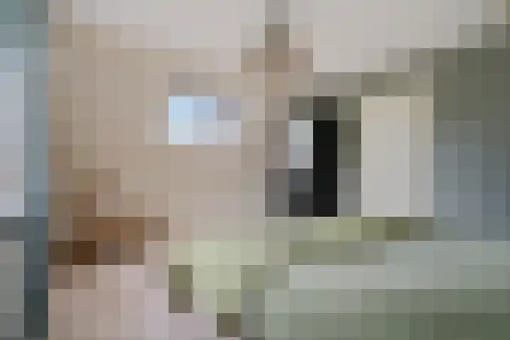 Hoofdweg 60 Smilde thumbnail 25