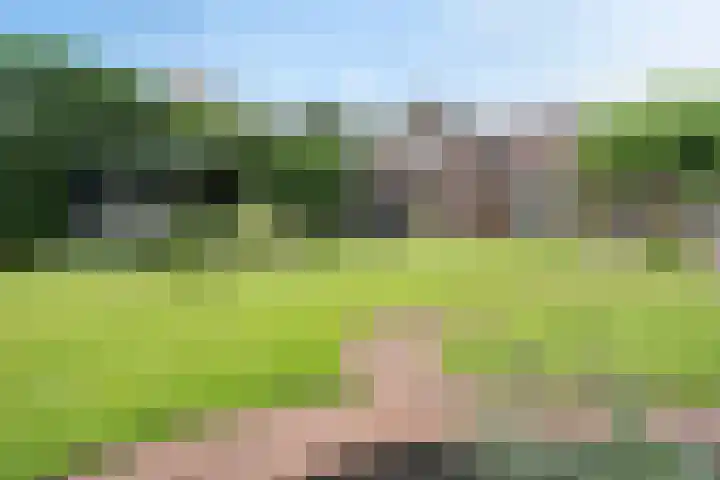 Hoofdweg 60 Smilde thumbnail 39