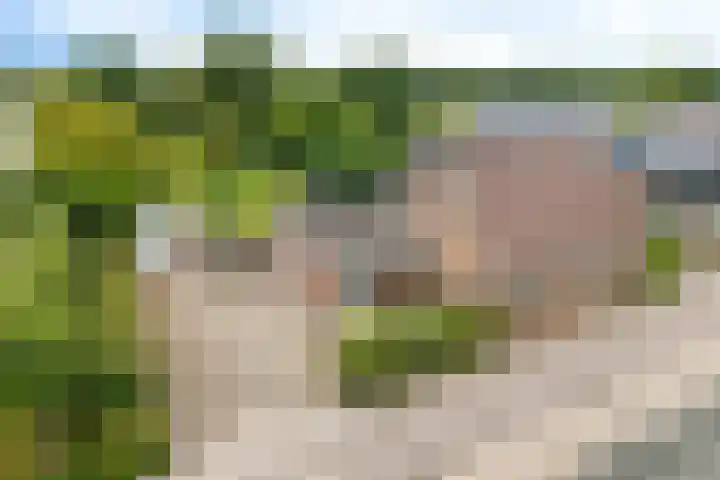 Hoofdweg 60 Smilde thumbnail 44