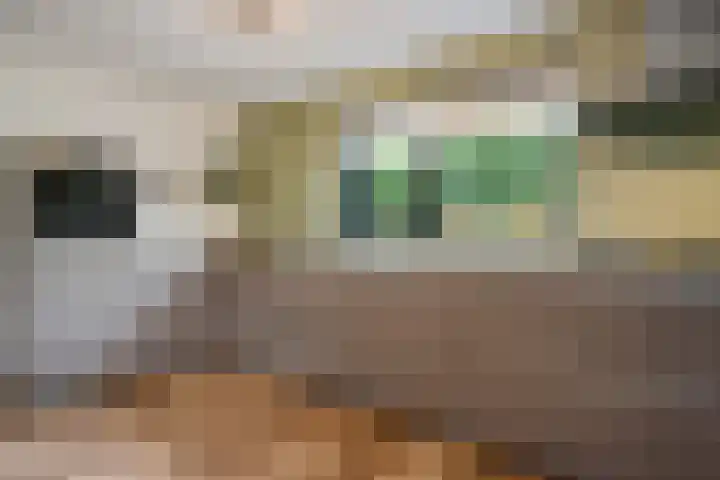 Hoofdweg 60 Smilde thumbnail 8