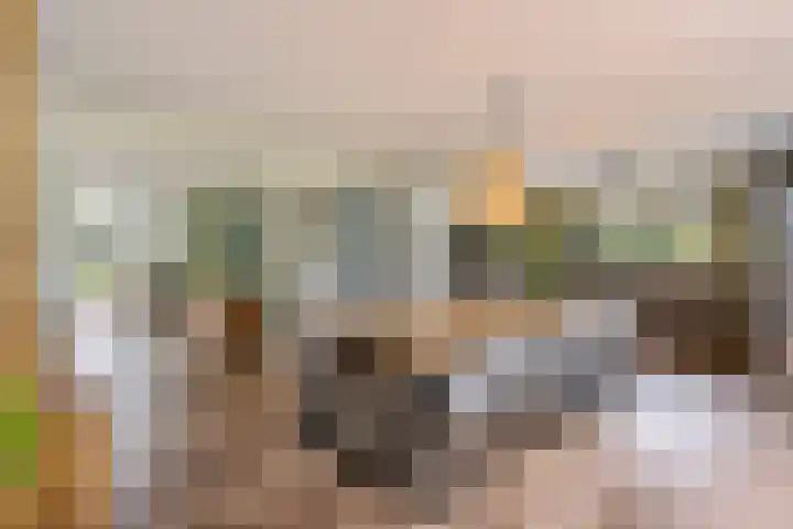 Hoofdweg 60 Smilde thumbnail 9