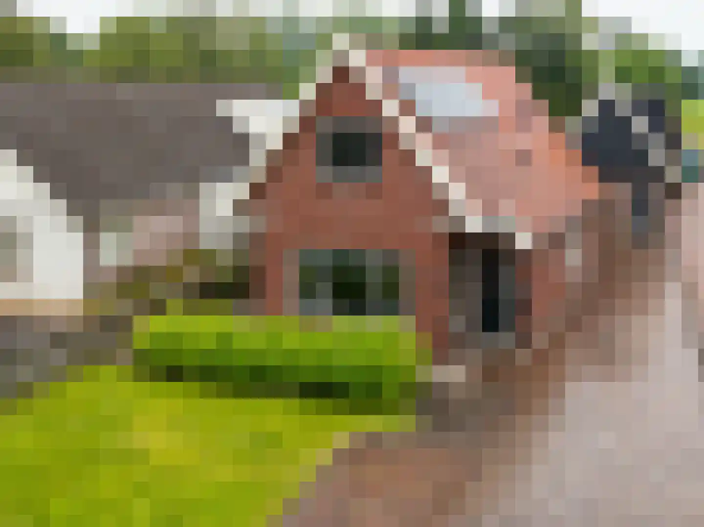 Hoofdweg 61 Westerlee thumbnail 4