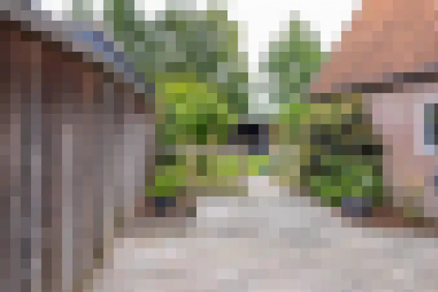 Hoofdweg 61 Westerlee thumbnail 46