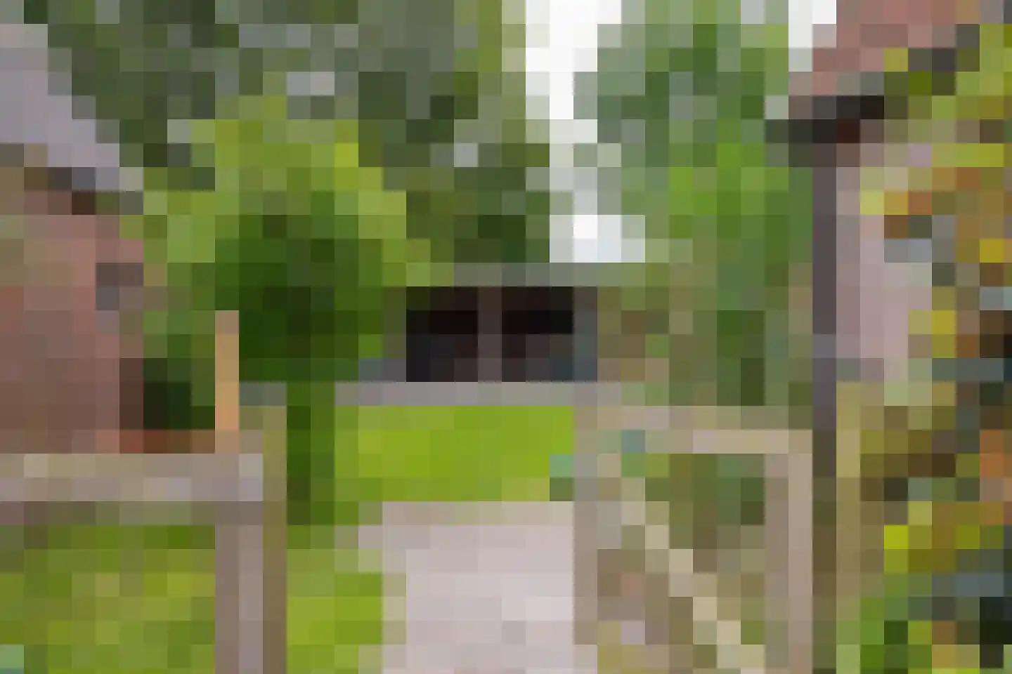 Hoofdweg 61 Westerlee thumbnail 47