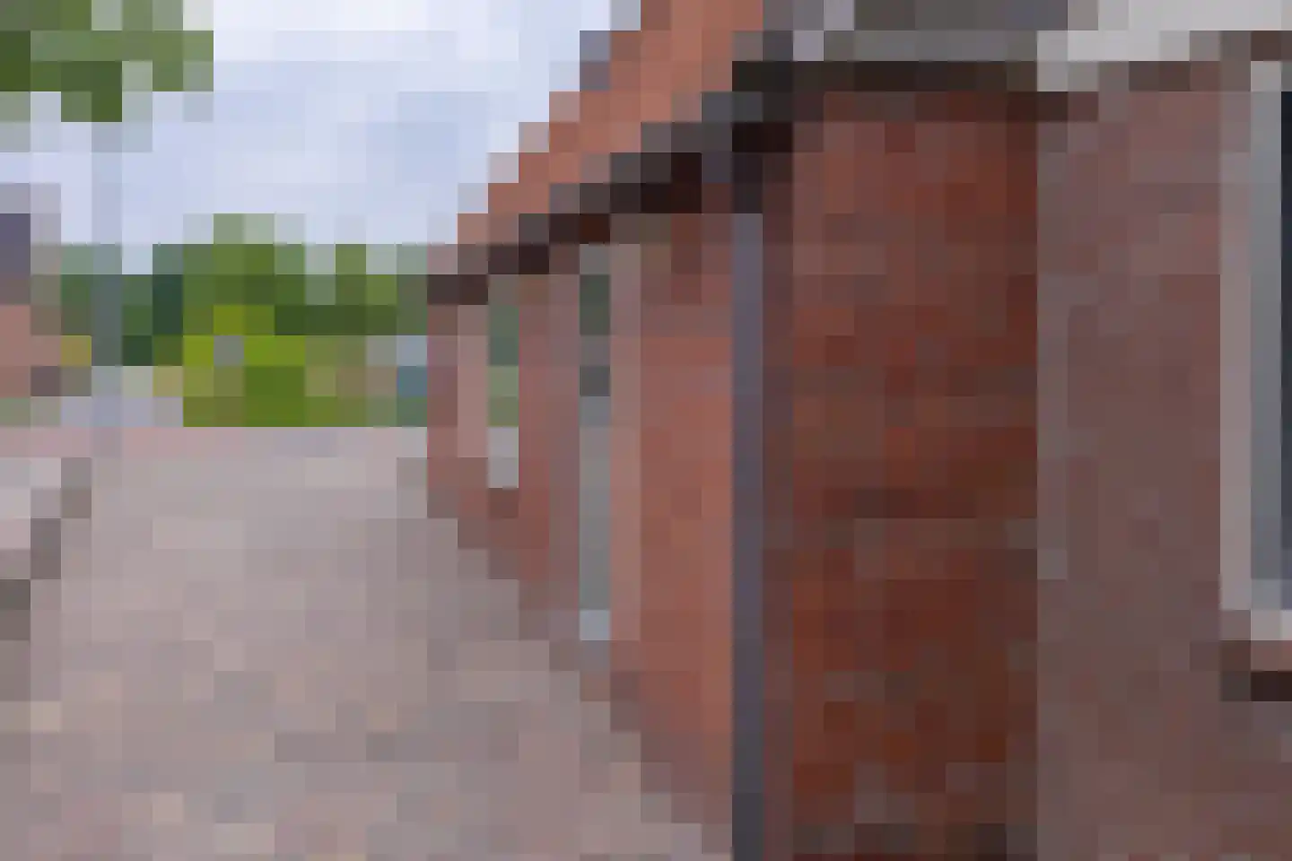 Hoofdweg 61 Westerlee thumbnail 7