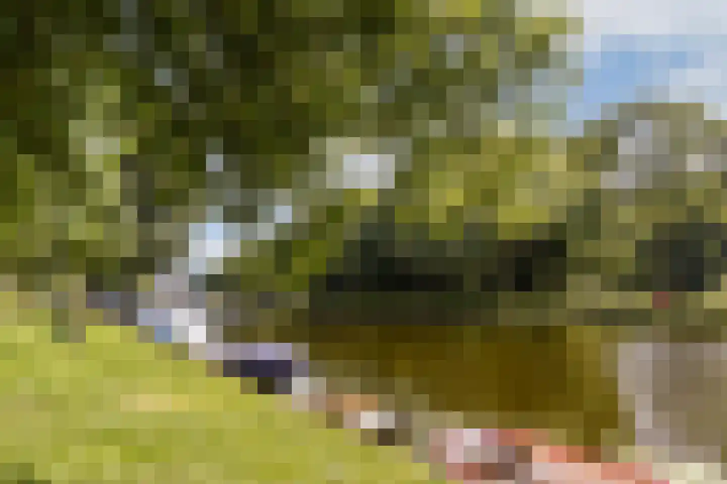Hoofdweg 622 Amsterdam thumbnail 27