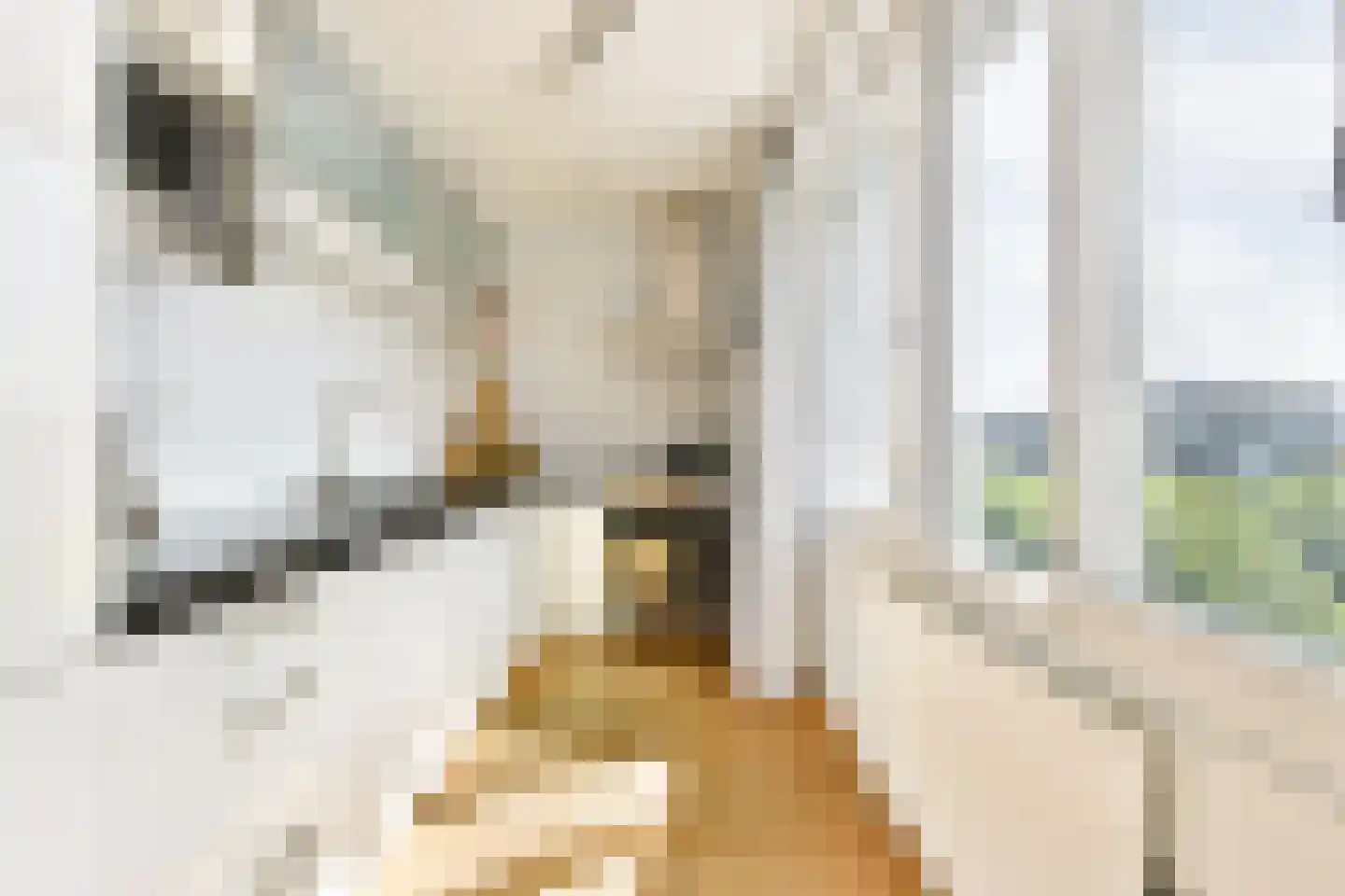 Hoofdweg 622 Amsterdam thumbnail 9