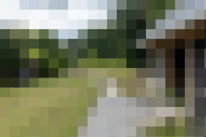 Hoofdweg 63 Finsterwolde thumbnail 40