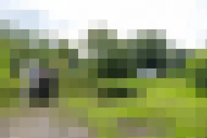 Hoofdweg 63 Finsterwolde thumbnail 42