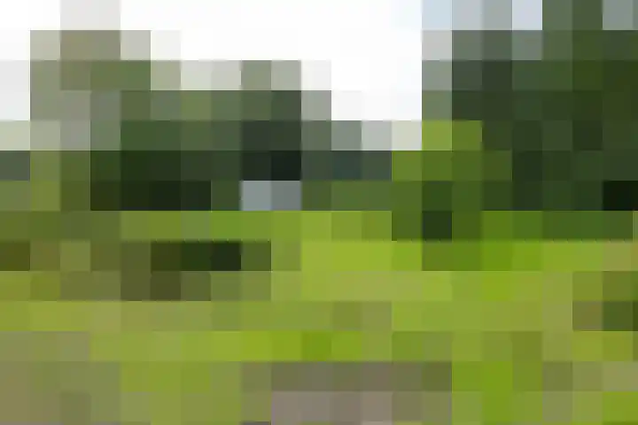 Hoofdweg 63 Finsterwolde thumbnail 43