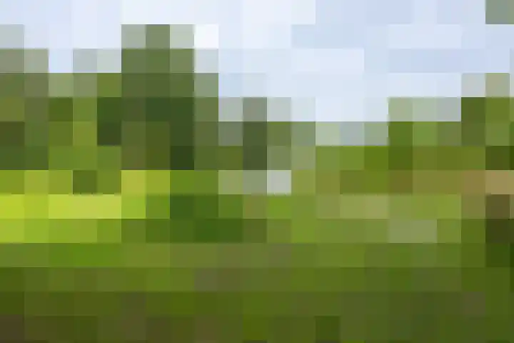 Hoofdweg 63 Finsterwolde thumbnail 44