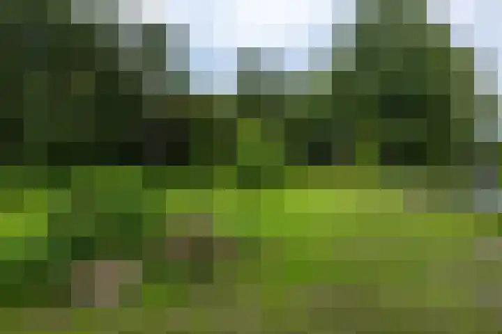 Hoofdweg 63 Finsterwolde thumbnail 45