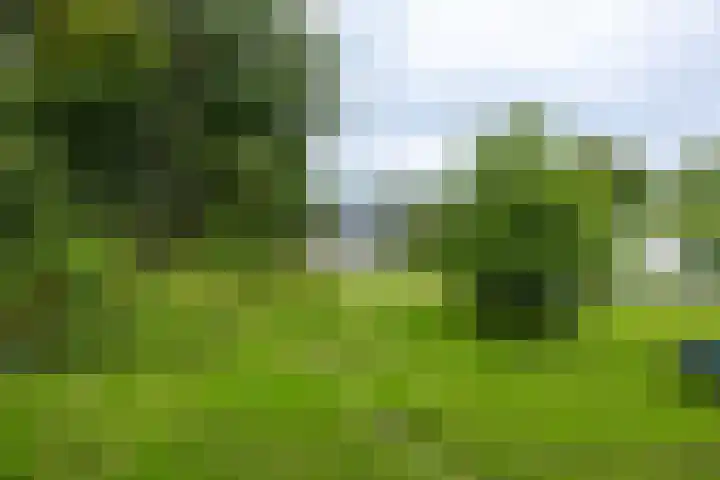 Hoofdweg 63 Finsterwolde thumbnail 46