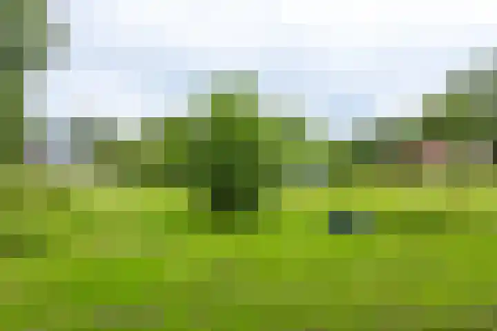 Hoofdweg 63 Finsterwolde thumbnail 47