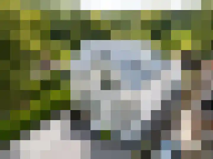 Hoofdweg 63 Finsterwolde thumbnail 5