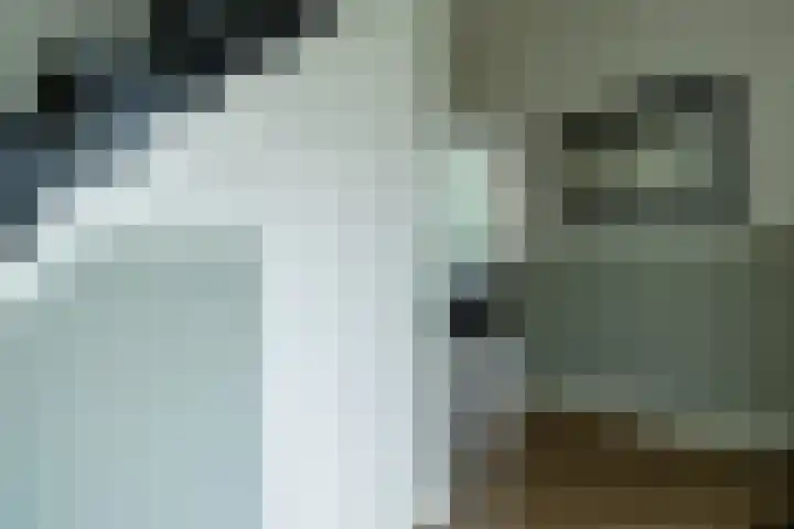 Hoofdweg 63 Finsterwolde thumbnail 9
