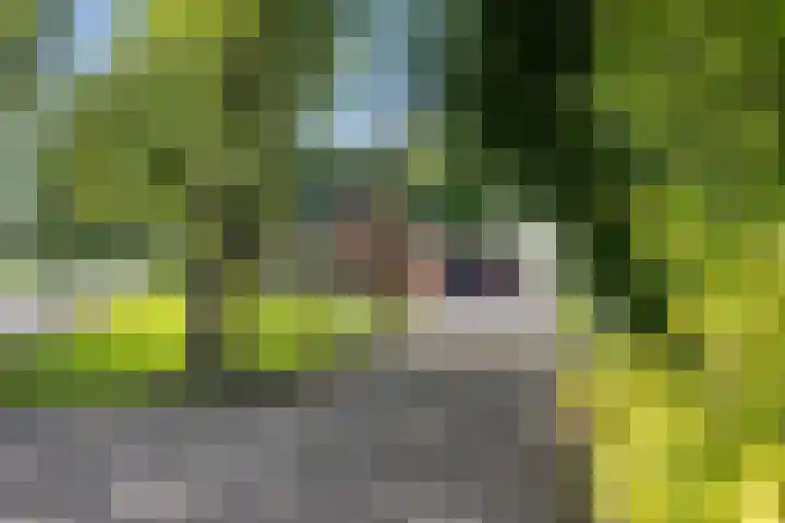 Hoofdweg 63 Tjuchem thumbnail 12