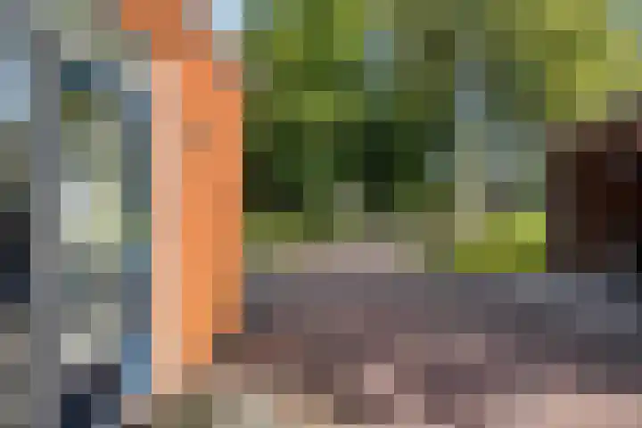 Hoofdweg 63 Tjuchem thumbnail 15