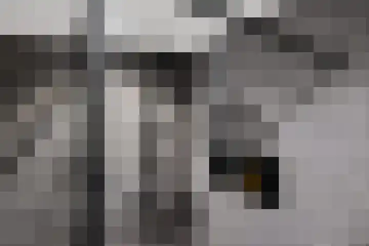 Hoofdweg 63 Tjuchem thumbnail 29