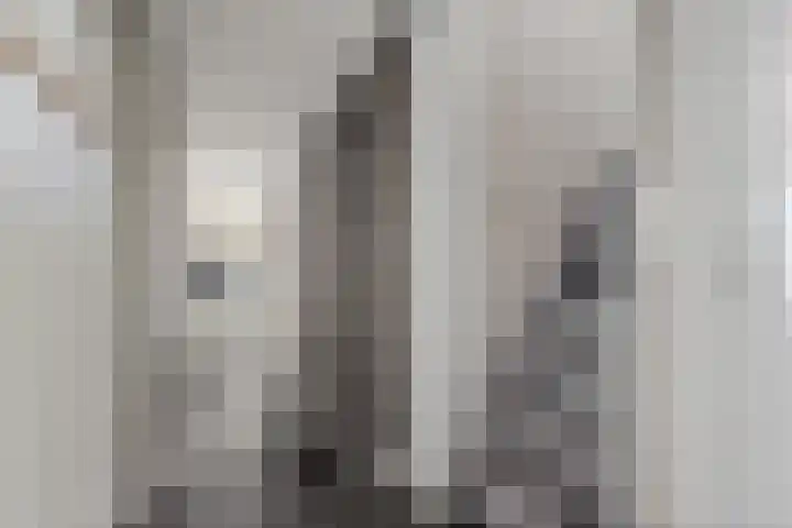 Hoofdweg 63 Tjuchem thumbnail 36
