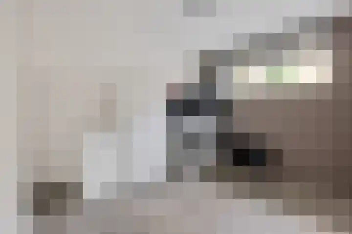 Hoofdweg 63 Tjuchem thumbnail 37