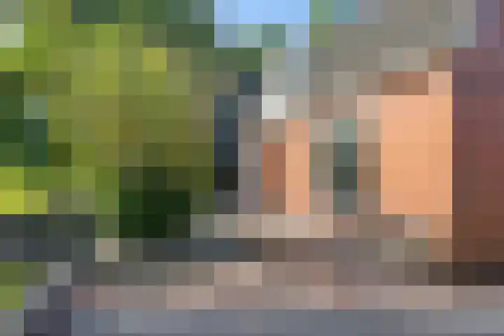Hoofdweg 63 Tjuchem thumbnail 42