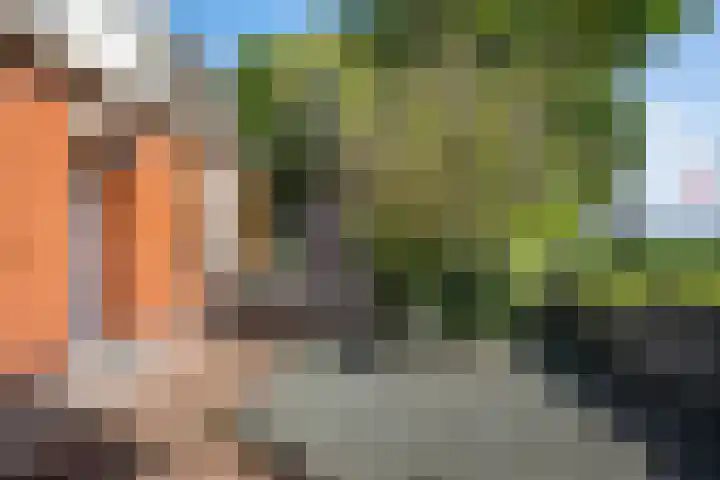 Hoofdweg 63 Tjuchem thumbnail 43