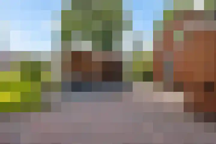 Hoofdweg 63 Tjuchem thumbnail 44