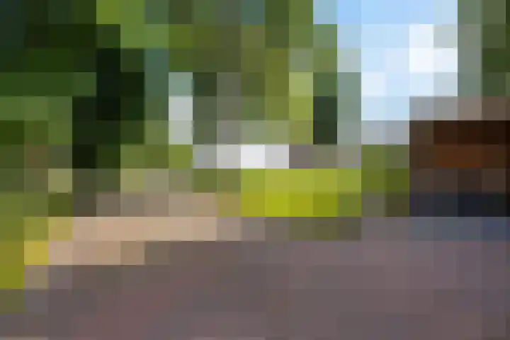 Hoofdweg 63 Tjuchem thumbnail 46