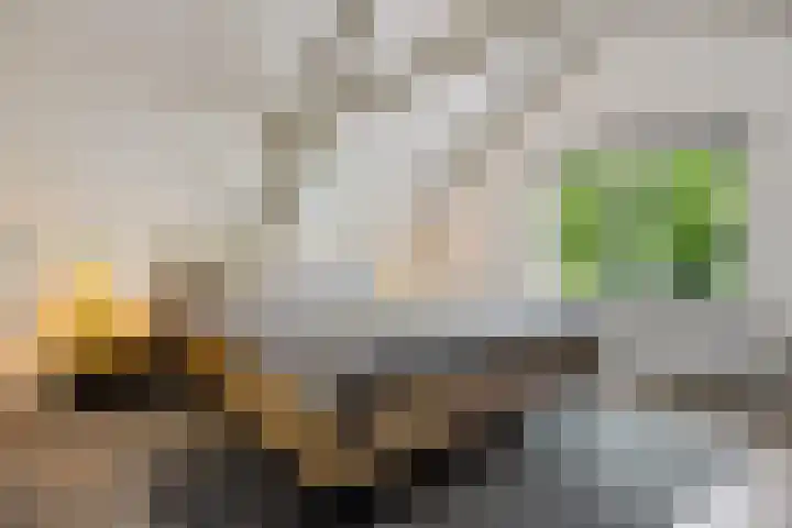Hoofdweg 63 Tjuchem thumbnail 6