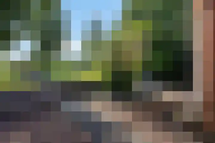 Hoofdweg 63 Tjuchem thumbnail 8