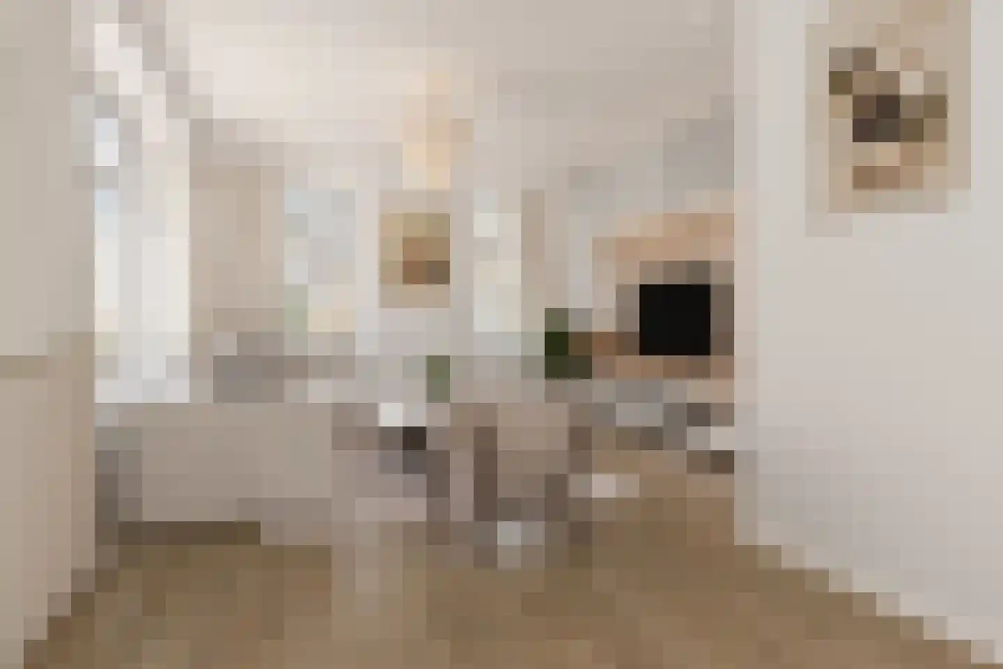 Hoofdweg 63 Wagenborgen thumbnail 27